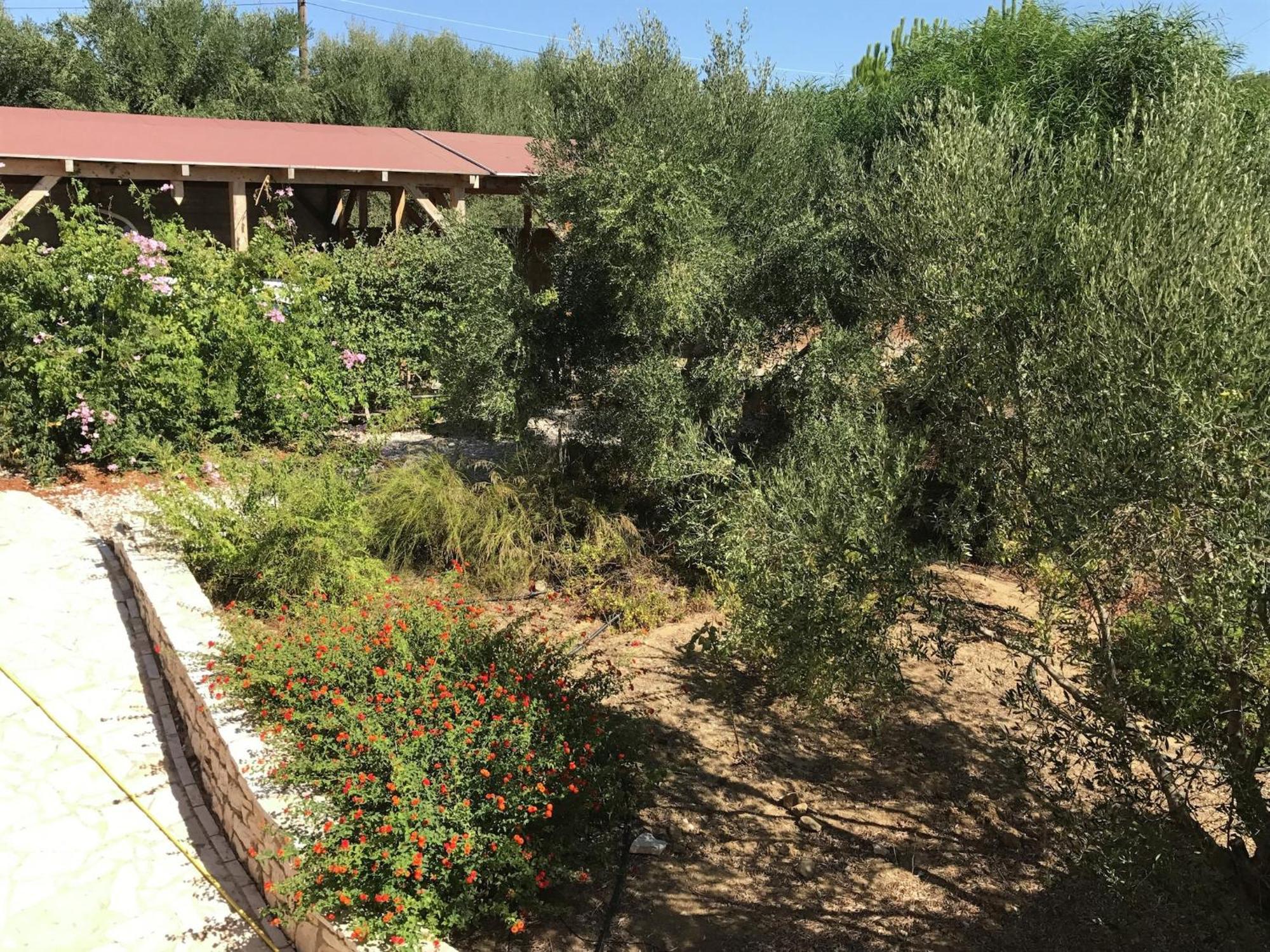 Luxurious Villa In Peloponnese With Swimming Pool Kamária Exteriör bild
